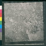 ���Ƚs��:12-1397