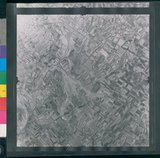 ���Ƚs��:12-1417