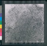 ���Ƚs��:12-1417