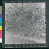 ���Ƚs��:12-1417