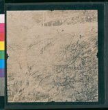 ���Ƚs��:12-1418