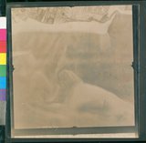 ���Ƚs��:12-1419