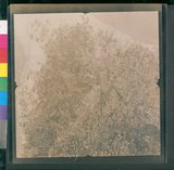 ���Ƚs��:12-1419