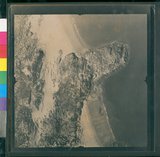 ���Ƚs��:12-1419