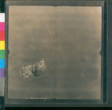 ���Ƚs��:12-1419