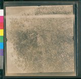 ���Ƚs��:12-1419