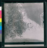 ���Ƚs��:12-1420