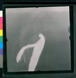 ���Ƚs��:12-1420