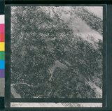 ���Ƚs��:12-1428-VV