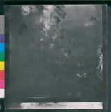 ���Ƚs��:12-1431-VV