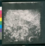 ���Ƚs��:12-1454-VV