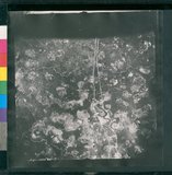 ���Ƚs��:12-1454-VV