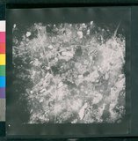 ���Ƚs��:12-1454-VV