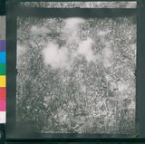 ���Ƚs��:12-1462-VV