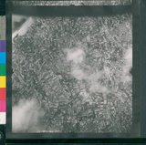 ���Ƚs��:12-1462-VV