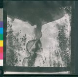 ���Ƚs��:12-1462-VV