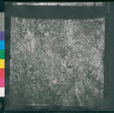 ���Ƚs��:12-1462-VV