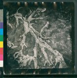 ���Ƚs��:12-1483-VV