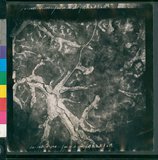 ���Ƚs��:12-1483-VV