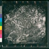 ���Ƚs��:12-1483-VV