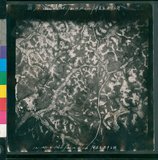 ���Ƚs��:12-1483-VV