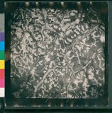 ���Ƚs��:12-1483-VV