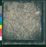 ���Ƚs��:12-1483-VV