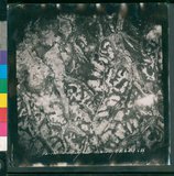 ���Ƚs��:12-1483-VV