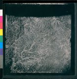 ���Ƚs��:12-1488-VV