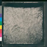 ���Ƚs��:12-1495-VV