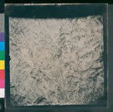 ���Ƚs��:12-1495-VV