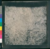 ���Ƚs��:12-1495-VV