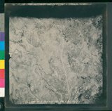 ���Ƚs��:12-1495-VV