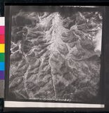 ���Ƚs��:12-1498-VV