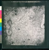 ���Ƚs��:12-1500-VV