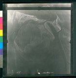 ���Ƚs��:12-1923