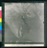 ���Ƚs��:12-1923