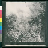 ���Ƚs��:12-1953