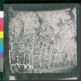 ���Ƚs��:12-1969