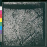 ���Ƚs��:12-1969