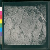 ���Ƚs��:12-1969