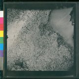 ���Ƚs��:12-1969