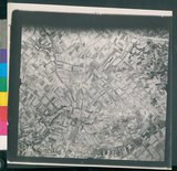 ���Ƚs��:12-1970