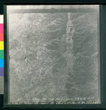 ���Ƚs��:12-1975