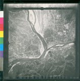 ���Ƚs��:12-1980