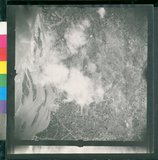 ���Ƚs��:12-1980