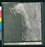 ���Ƚs��:12-1981