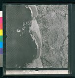 ���Ƚs��:12-1981