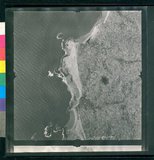 ���Ƚs��:12-1981