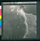 ���Ƚs��:12-1981